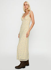 Jayne Frill Maxi Dress Multi
